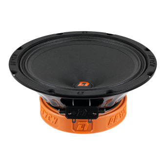 DL AUDIO Raven 200 V.2 (1-полосная, 8", 20см.)