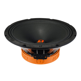 DL AUDIO Raven 250 V.2  (1-полосная, 10", 25см.)