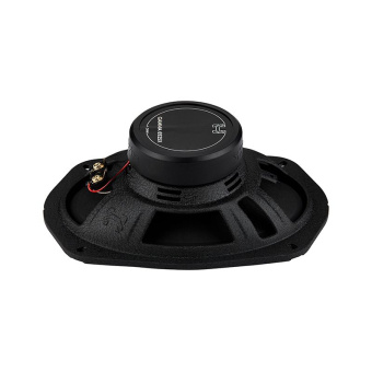 Black Hydra Gamma-6925X