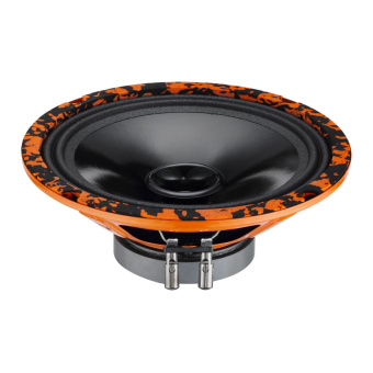 DL AUDIO Gryphon Lite 200 V2 Акустика эстрадная (1-полосная, 10", 25см.)