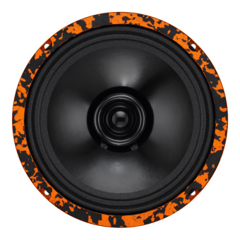 DL AUDIO Gryphon Lite 200 V2 Акустика эстрадная (1-полосная, 10", 25см.)