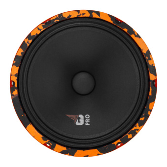 DL AUDIO Gryphon PRO 250 Акустика эстрадная (1-полосная, 10", 25см.)