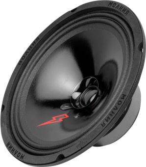 Ural AC-MЛ200 МОЛНИЯ Акустика